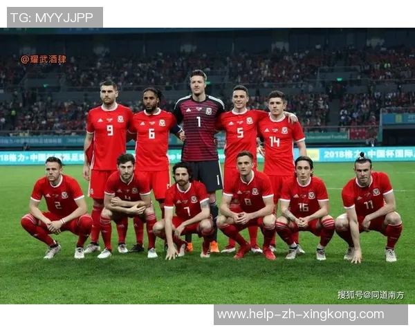 威尔士男子足球队的辉煌历程与未来展望分析 威尔士男子足球队的辉煌历程与未来展望分析